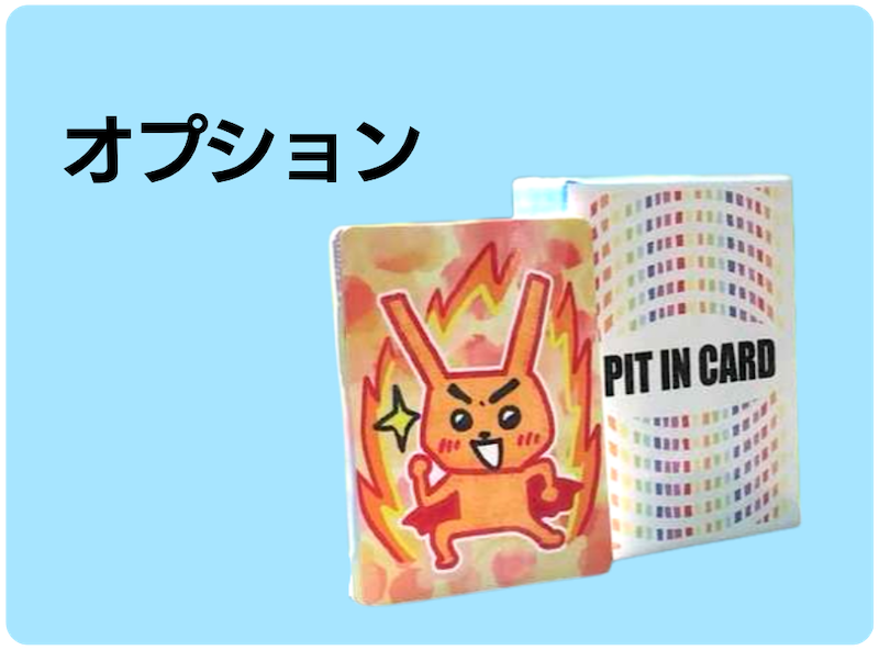 ピットインカード